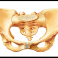 ACSST-PELVIC–ACETABULUM-COURSE